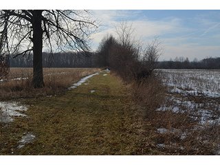 Property photo 23 - FARMLAND AUCTION, 60+/- Acres in 6 Tracts ranging from 4 to 20 acres & in combinations!